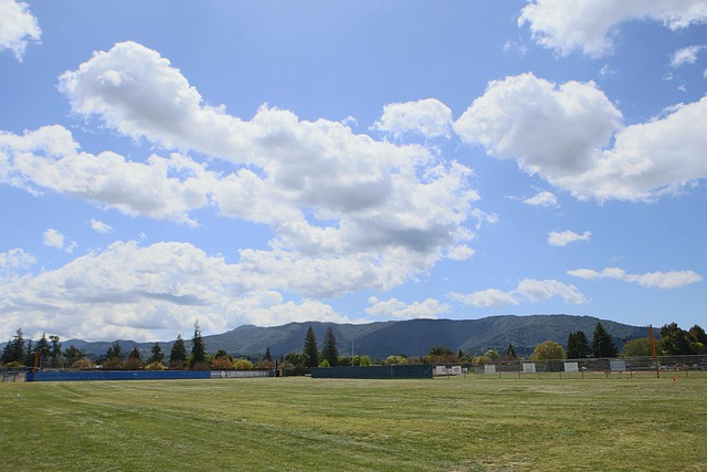 Previous Image