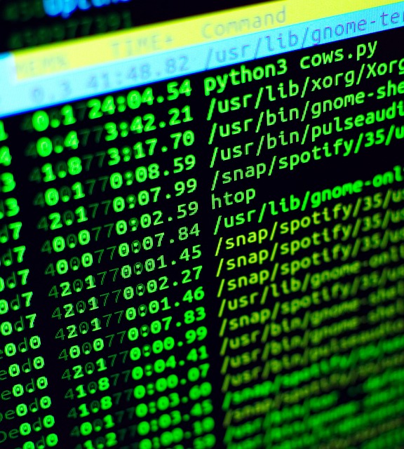 linux, code, coding, program, computer, space, programming, source, dos, matrix, hacking, green computer, green laptop, green code, green coding, green programming, linux, linux, linux, linux, linux