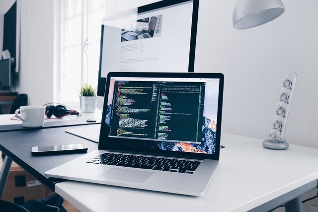 How Texas Launched a Standardized Web Design System: A Blueprint for Government Accessibility and Efficiency