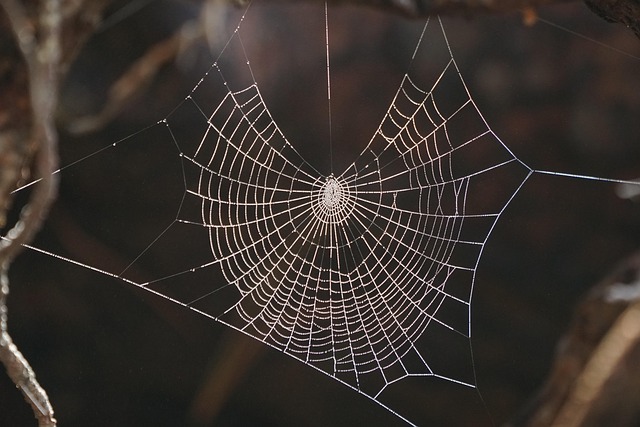 The Silent Sunset: How Edge Dropping Older Extensions Reshapes Privacy Tooling